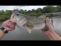 【野池】雨の日のバスの釣り方と考え方。（産卵後の春バス）