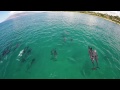 Maui Adventure Day - Dolphins, Dive Wing and Shipwreck with GoPro Hero 4