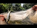 JELAJAH hulu sungai di hutan PEDALAMAN Bengkulu untuk berburu ikan MAHSER