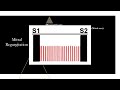 Heart Murmurs Review | | Mnemonics And Proven Ways To Memorize for your exams!