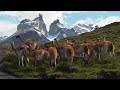 Serene Exploration of South America: Peaceful Music & Stunning 4K Scenery | Relax and Discover
