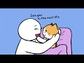 6 Signs Your Cat is Dying | BEMYPET's Tips