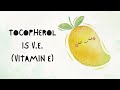 Vitamin, Vitamin | Lyric Video (Other Names of Vitamins)