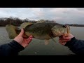 Amazing Bass Fishing During Cold Front (Best Budget Spinning Combo = Shimano Sienna & Ark Catalyzer)