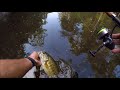 Creek Bass Fishing With Creek Chubs