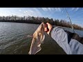 Turning Live Channel Cat Into Catfish Bait