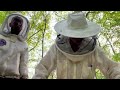 ITS FINALLY HERE!!! Beekeeping 101 #beekeeping