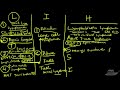 Lymphoma Explained Clearly - Hodgkins & Non-Hodgkin's Pathophysiology