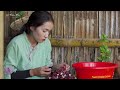 Tieu Phi Harvesting RED ATISO FLOWER Goes to market sell | Cooking & Gardening | #TiểuPhiDailyLife
