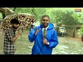 Heavy Rain In Mumbai | आफत की बारिश, Amitabh Bachchan, Rani, Ajay Devgan के बंगले भी 'पानी-पानी'