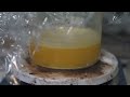 Extracting Calcium from Bones