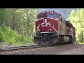 BNSF/CP Sweet Grass Grain trains in Montana