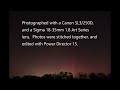 Geomagnetic Mega Storm Northern Lights April 24 2023 Timelapse Shot on Canon SL3 250D Sigma 18-35mm