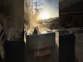 Big Black Bear Relaxes in Hot Tub in Great Smoky Mountains, Tennessee