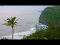 Soothing Sound of Ocean Waves for Stress Relief & Rest - 4K Relaxing Ocean View with Palm Trees