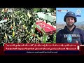 رد حزب الله سيكون حتميًا .. خطاب نصر الله يكشف تفاصيل الرد على اغتيال فؤاد شكر