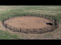 Drone Footage - Horse Training