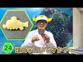 さかなクンならデフォルメされたおっとっとでも全種正解できる説【深海魚Ver.】