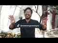 Zooku at Home 2022 Episode 7 - Rimba Reptilia Part 2 | Zoo Negara Malaysia