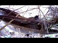 Robin built a nest on my broken deck roof -watching with Stuart cam