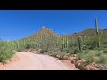 2 Hours of Scenic Driving Through Saguaro National Park Arizona 4K Tucson Mountain Park