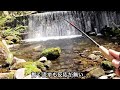 [Tenkara fishing] Memorable fish