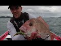 The softbait that never fails | Snapper fishing in Auckland | New Zealand fishing