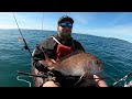 Snapper Fishing Auckland NZ - Army Bay Chaos!