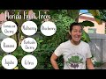 7 Fast Producing Fruit Trees Every Floridian Needs