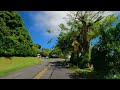 Honolulu Airport to Tantalus Lookout 🌈 Puu Ualakaa State Park 🌴 Hawaii John 4K Driving