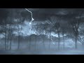 Animated Heavy Thunderstorm Sounds 30 Minutes ASMR