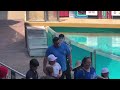 He never fails to bring laughter to us | Tom the mime | Seaworld Orlando