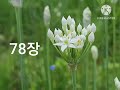 시편낭송 71장~80장