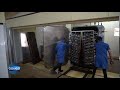 Fischgeruch & Zeitdruck: Wie hart ist der Job in einer Fischfabrik? | Galileo testet Berufe