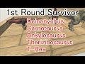 Last Survivor. Touched out, Swirl course. Wyvern edition! | Animal Revolt Battle Simulator