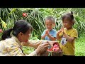 Harvesting Ripe Dragon Fruit and Helping Grandma with Housework | Ly Thi Thom