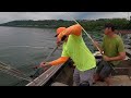 Blue Catfish Annihilation 🔥(Ohio River)