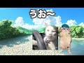 銀行員の夏休みが全然休まらない理由【地方銀行】#猫ミーム