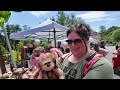 I Talked to an Alien at Spruce Pine Alien Festival - Spruce Pine, NC