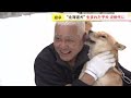 ４匹の子犬誕生　かつてはアイヌ民族の狩猟犬　天然記念物「北海道犬」を５０年にわたり守り続ける思い