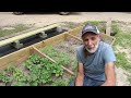 6 Top Survival Gardening Crops ~~Global Food Shortages? ~~ Crops You MUST Grow!