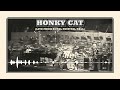 Elton John - Honky Cat (Live At The Royal Festival Hall, London, UK / 1972 / Visualiser)