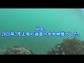 【三浦半島油壺】久々の水中映像も併せてどうぞ♪釣果は…【2020年2月】