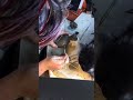 Ceramic sea turtle tutorial