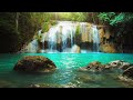 waterfall and birds sounds - Nature sounds for Babies