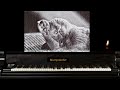 The Whole World's Gone to Sleep - Original Piano Composition in Country Piano/Stride/Ragtime