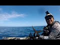 KAYAK FISHING HAWAII | Shibi, Shibi, Shibi