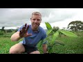 Does This Fruit Really Taste Like Chocolate Pudding? Black Sapote Tasting & Growing