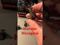 Monster Menagerie #shorts #dndminis #gaming