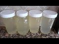 How To Make Bone Broth For Cats * S4 E92 * Homemade Bone Broth Recipe